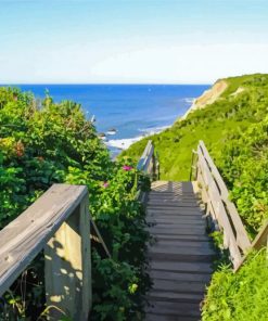 Cliffs Of Mohegan Boardwalk paint by number