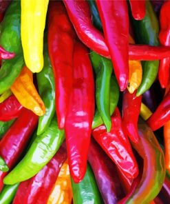 Colorful Chile Peppers paint by number