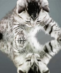 Cute Cat Reflection paint by number