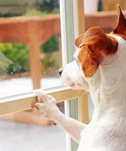 Cute Dog Looking Out Window paint by number