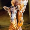 Baby Giraffe paint by number