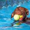 Dog In Pool paint by number