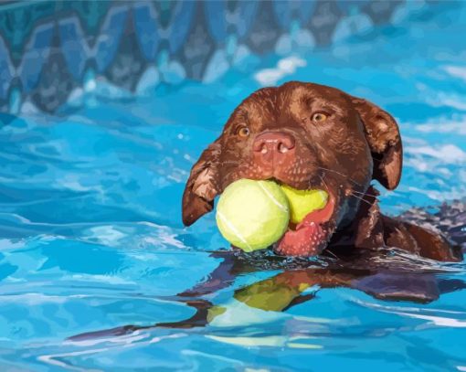 Dog In Pool paint by number