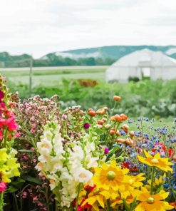 Floral Farm paint by number