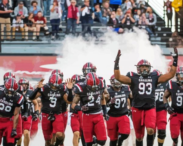 Gamecocks Team paint by number