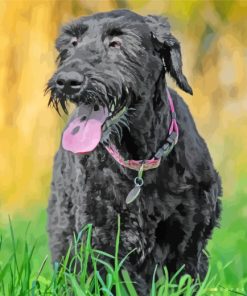 Giant Schnauzer Dog paint by number