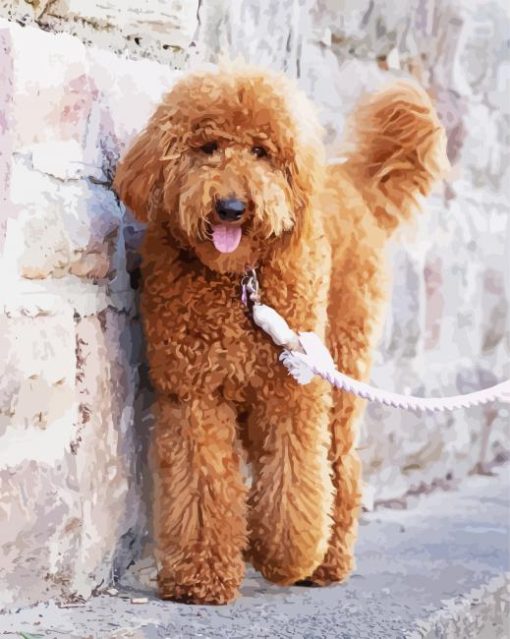 Goldendoodle Dog Pet paint by number