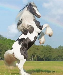 Gypsy Vanner Horse paint by number