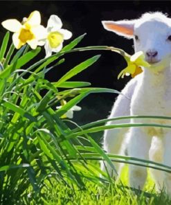 Little Goat With Flowers paint by number