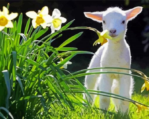 Little Goat With Flowers paint by number