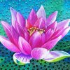 Lotus Blossom Art paint by number