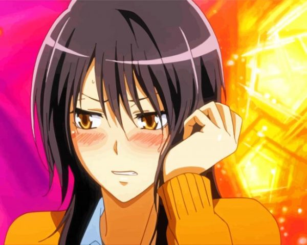 Misaki Maid Sama Character paint by number