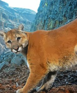 Mountain Lion Cougar paint by number