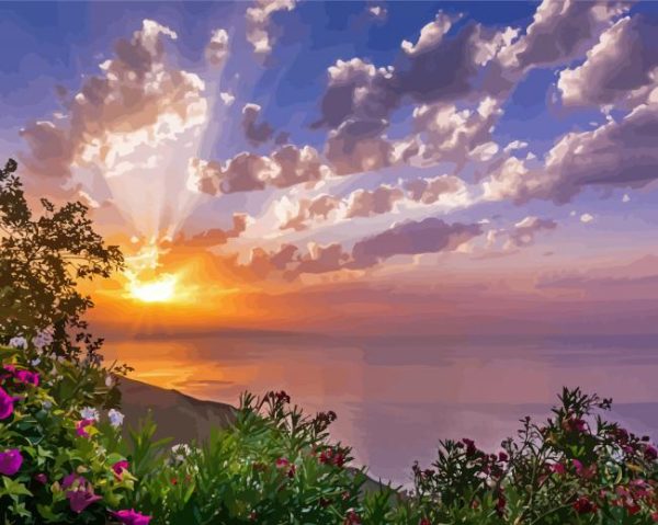 Oleanders Flowers Sunrise paint by number