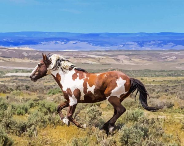 Piccaso Horse Animal paint by number