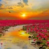 Pink Flowers Sunset paint by number