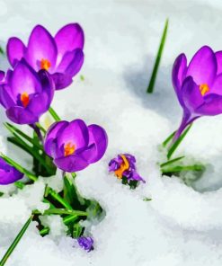 Purple Flowers In Snow paint by number