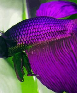 Purple Betta Fish paint by number