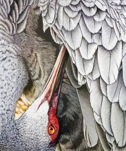 Sandhill Crane Bird paint by number