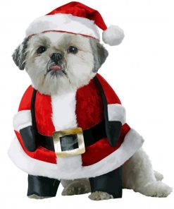 Santa Puppy paint by number