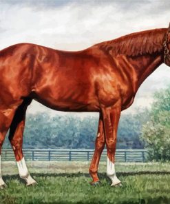 Secretariat Horse paint by number