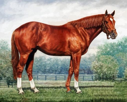 Secretariat Horse paint by number