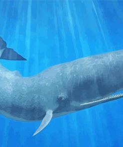 Sperm Whale paint by number