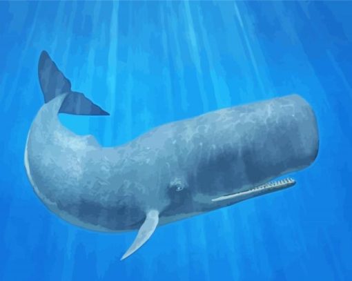 Sperm Whale paint by number