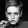 The Beautiful Twiggy paint by number