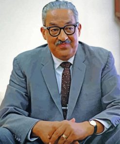 Thurgood Marshall paint by number