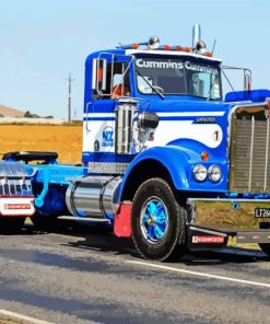 W924 Semi Truck paint by number