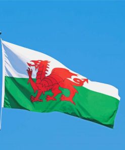 Wales Flag Dragon paint by number