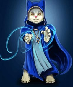 Wizard Cat paint by number