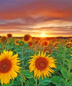 Yellow Flowers At Sunset paint by number