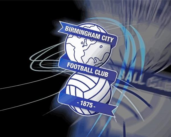 Aesthetic BCFC paint by number