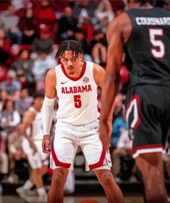 Alabama Crimson Tide Mens Basketball paint by number