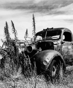 Black And White Truck In Desert paint by number