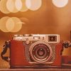 Brown Vintage Camera paint by number