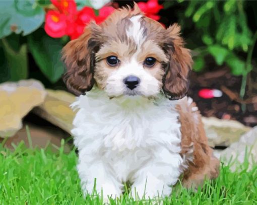 Cute Cavachon Dog paint by number