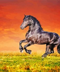 Friesian Horse With Red Sky paint by number