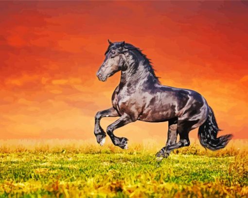 Friesian Horse With Red Sky paint by number