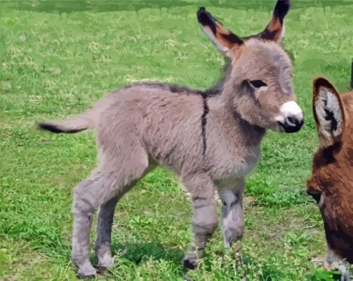 Grey Mini Donkey paint by number