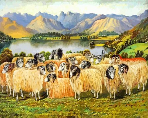 Herdwick Sheep Art paint by number