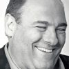 Monochrome James Gandolfini paint by number