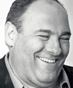 Monochrome James Gandolfini paint by number