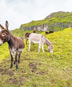 Mules In The Mountain paint by number