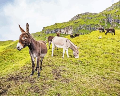 Mules In The Mountain paint by number