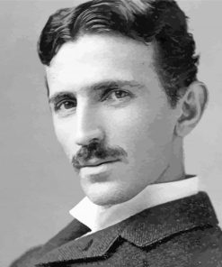 Nikola Tesla Black And White paint by number