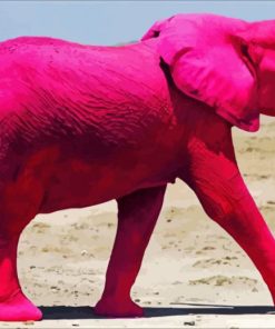 Pink Elephant paint by number