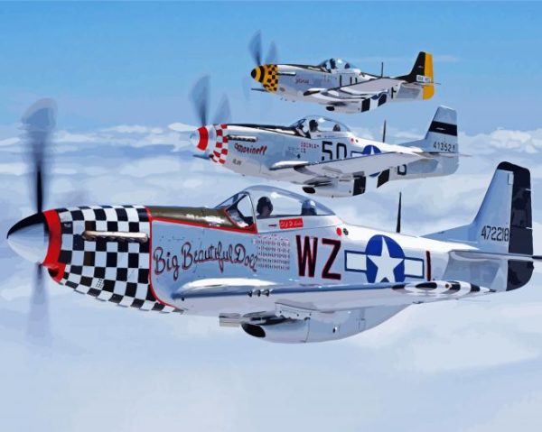 Racing Mustang P51 paint by number